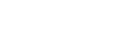 tacchini